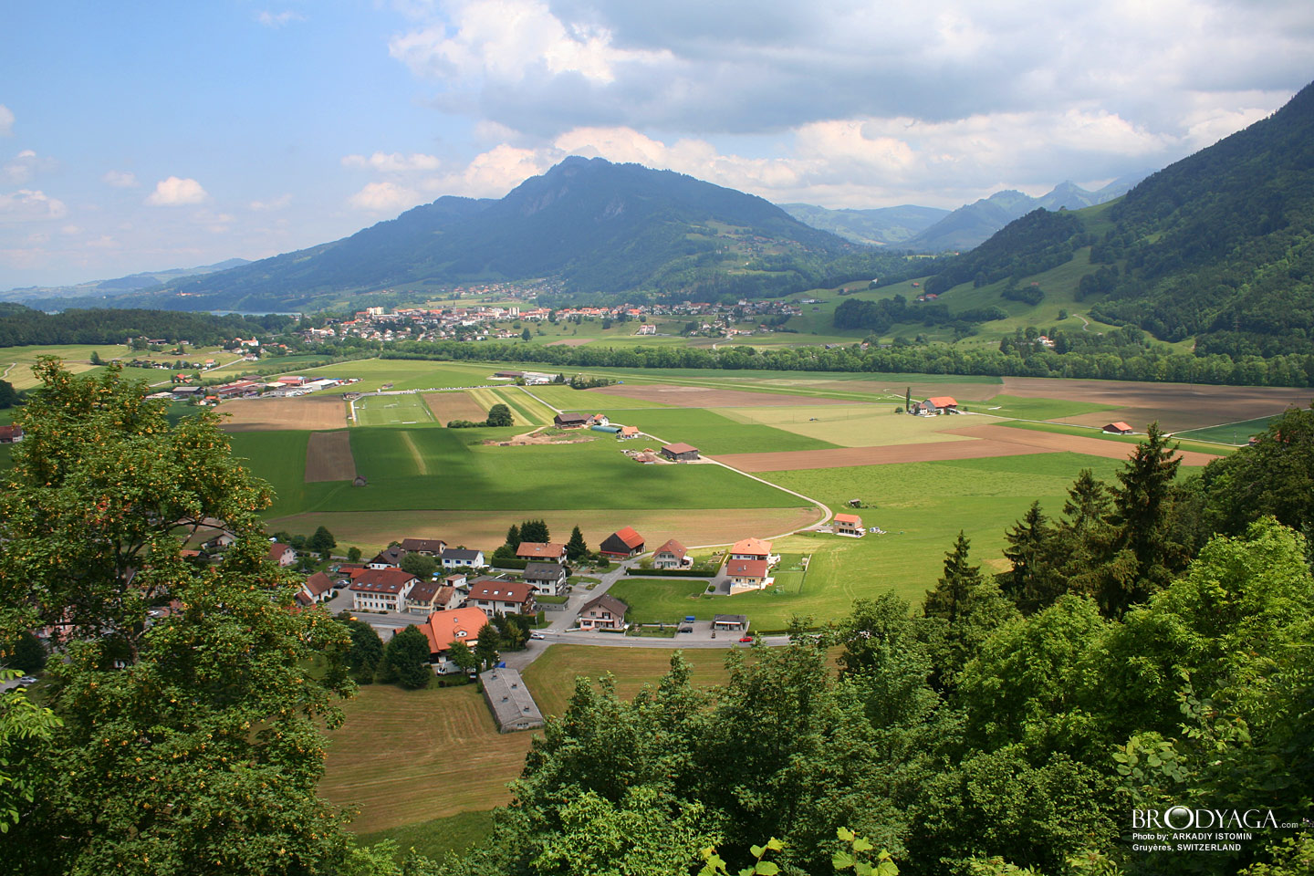Gruyeres